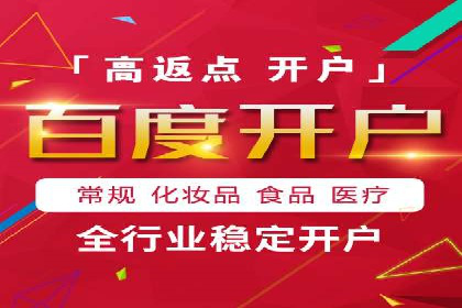 百度竞价排名实战：某行业领先企业的成功之路