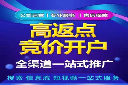 百度推广价格策略：不同阶段案例解析